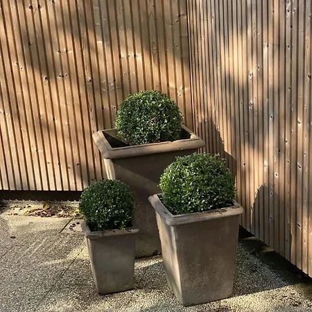 1 - La Maison Augustine Appartement *