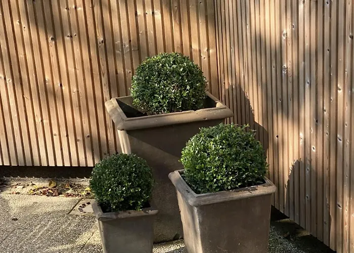 1 - La Maison Augustine Appartement *